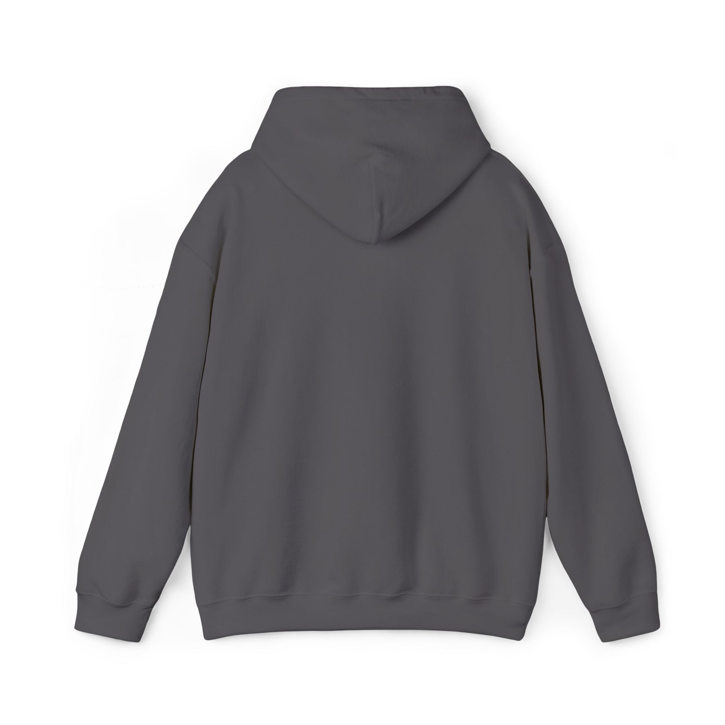 Psalm 27:1 Hooded Sweatshirt