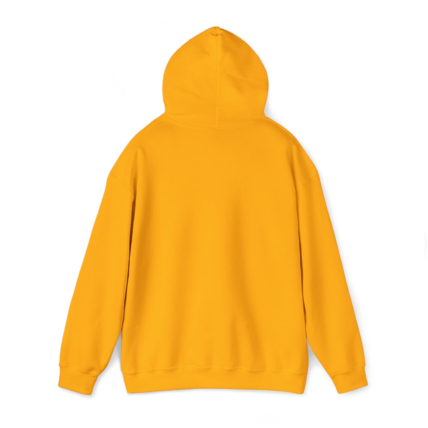 Psalm 27:1 Hooded Sweatshirt
