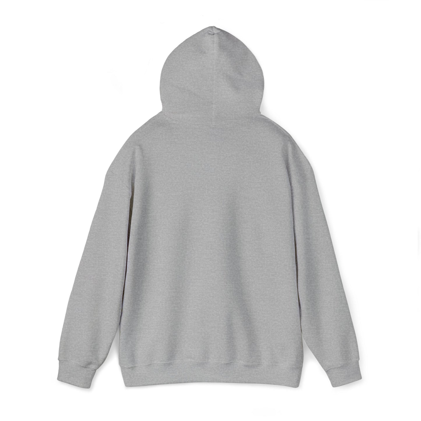 Psalm 27:1 Hooded Sweatshirt