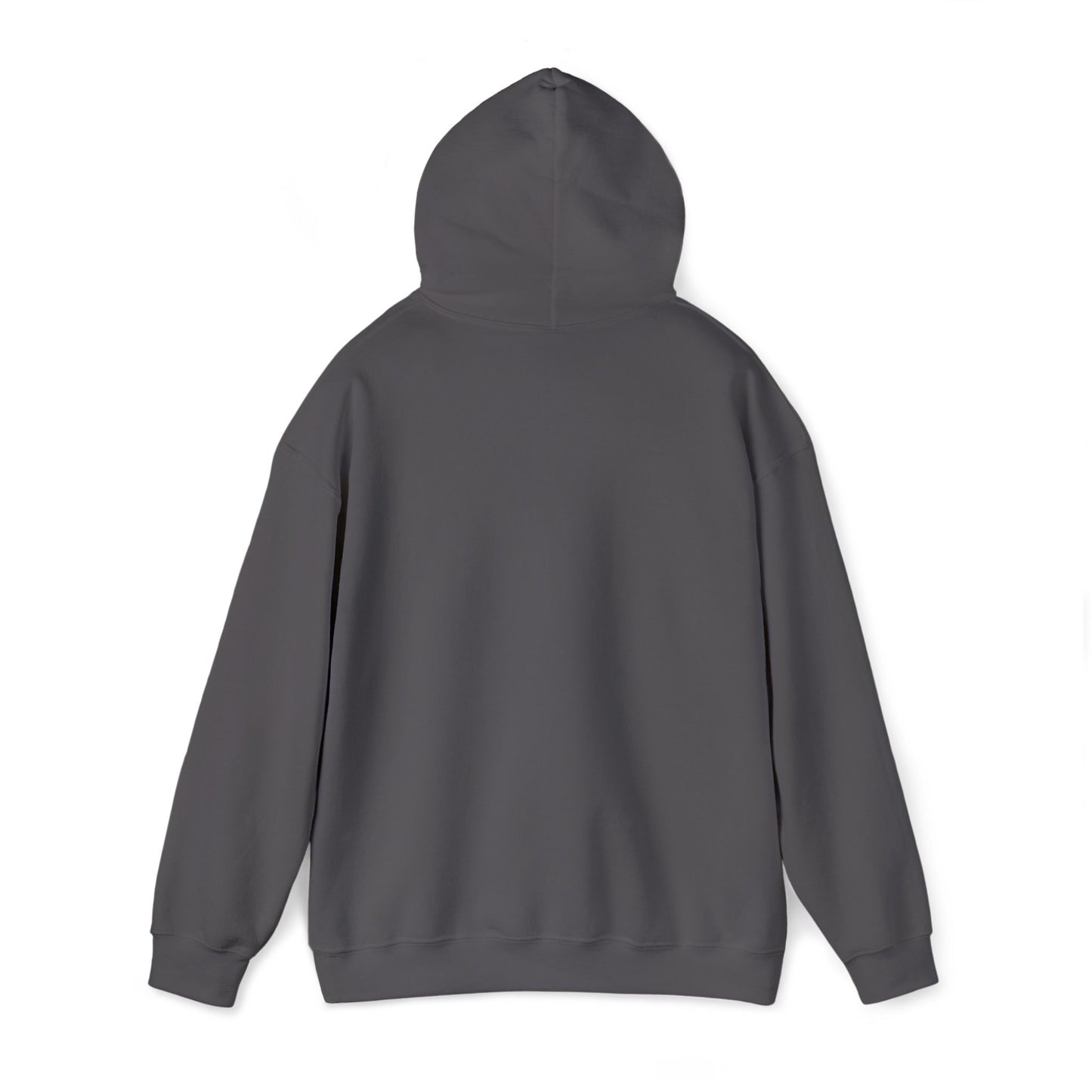Psalm 27:1 Hooded Sweatshirt