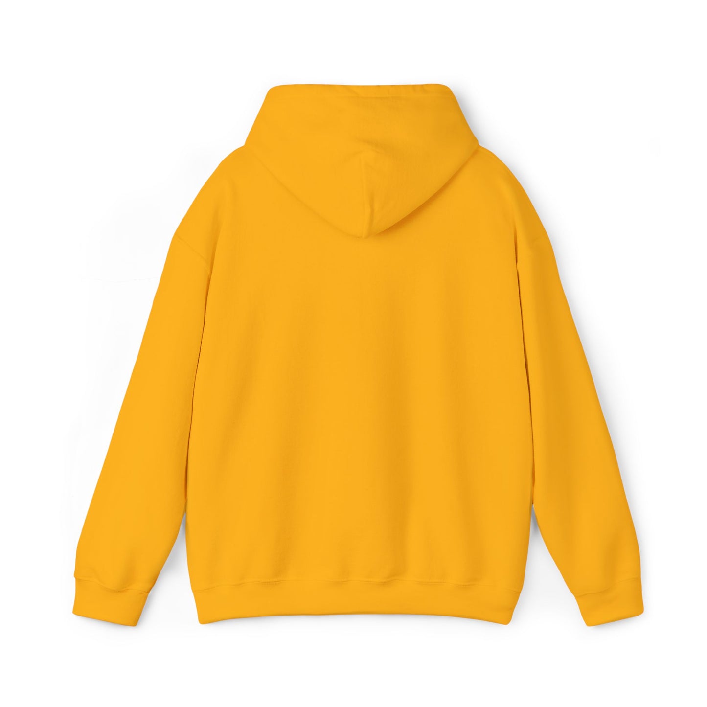 Psalm 27:1 Hooded Sweatshirt