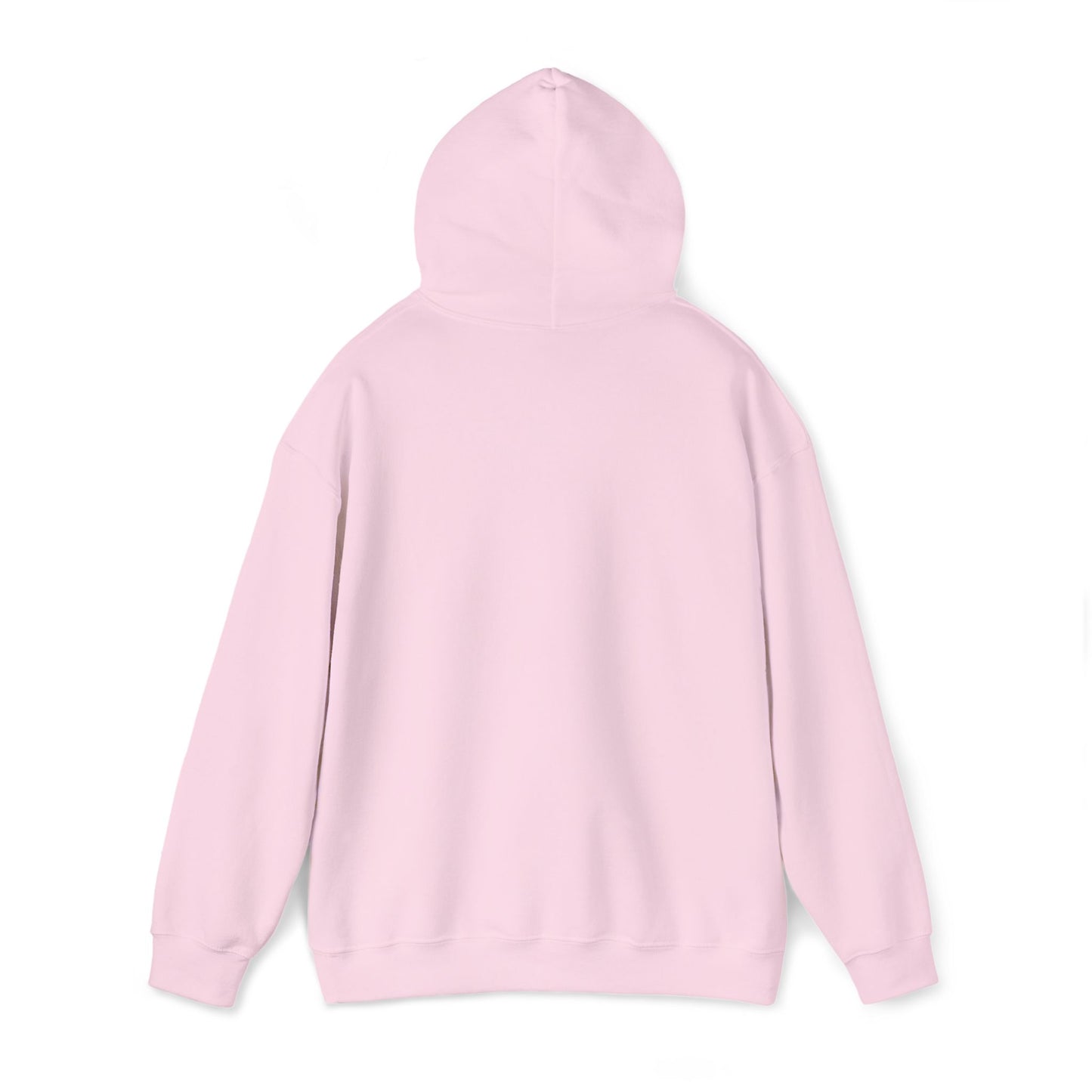 Psalm 27:1 Hooded Sweatshirt