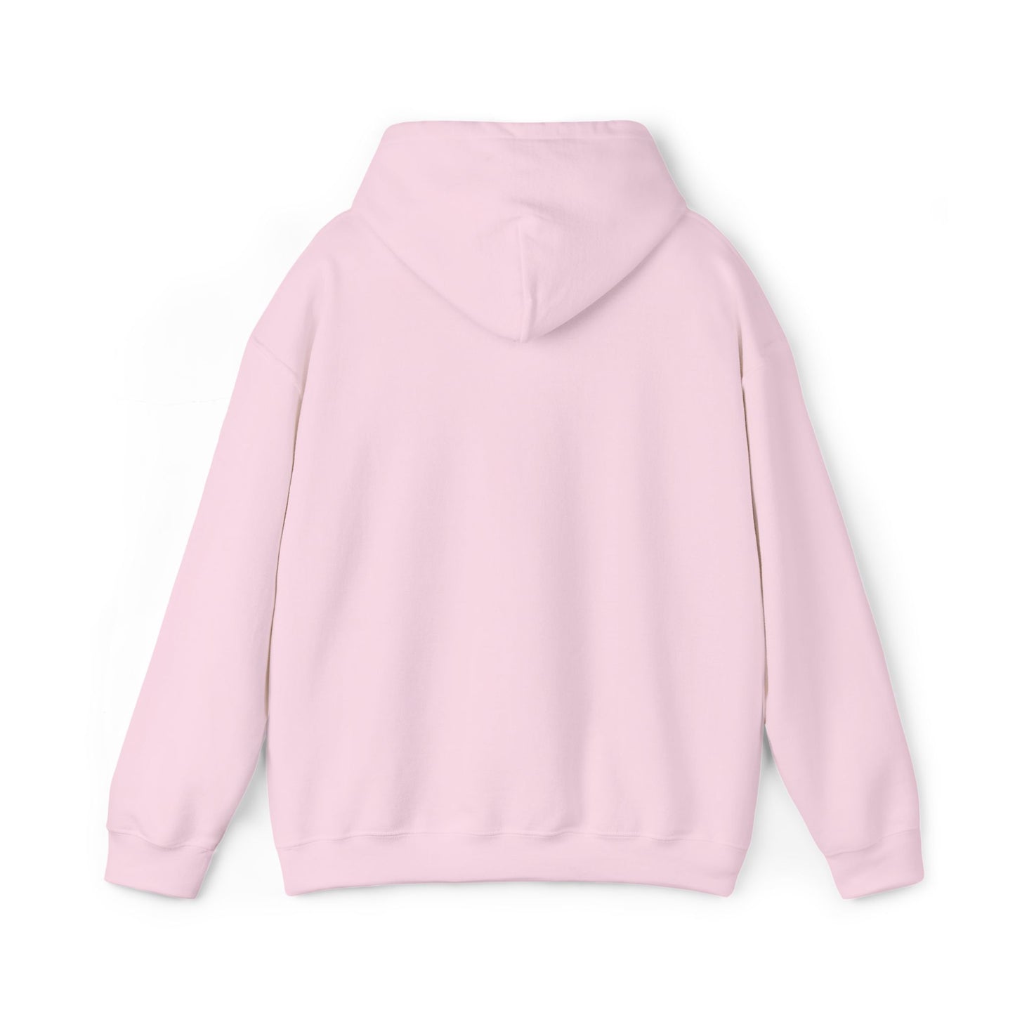 Psalm 27:1 Hooded Sweatshirt